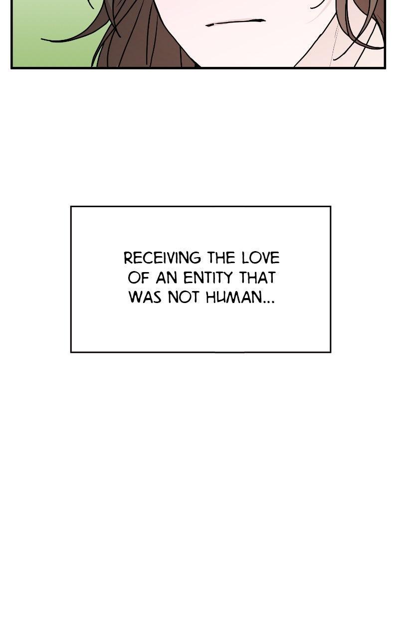 Read The Tale of a Fox's Love Manga Online