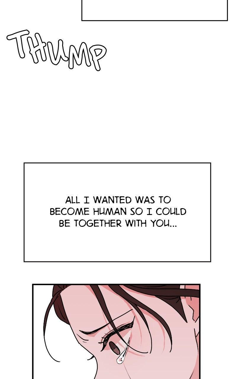 Read The Tale of a Fox's Love Manga Online