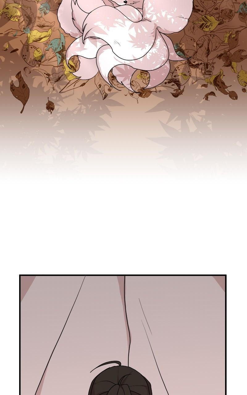 Read The Tale of a Fox's Love Manga Online