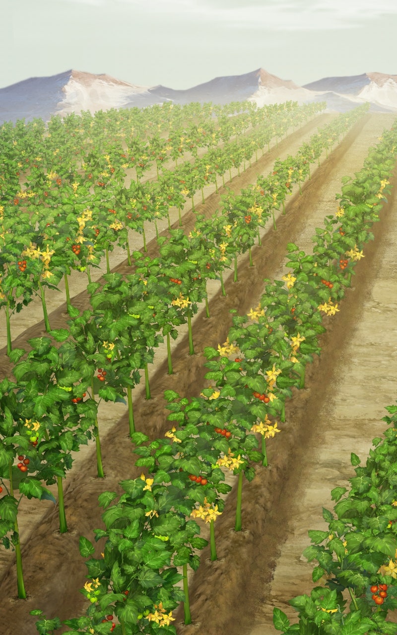 Read The Top Dungeon Farmer Manga Online