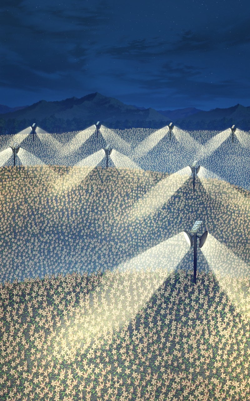 Read The Top Dungeon Farmer Manga Online