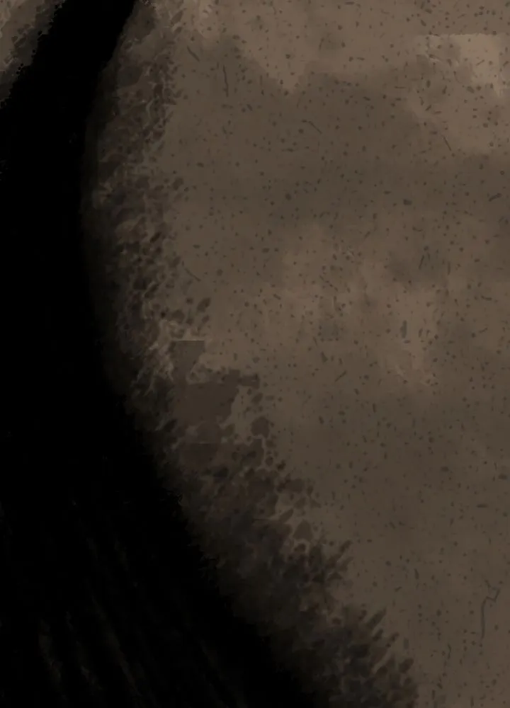 Read The Undefeatable Swordsman Manga Online