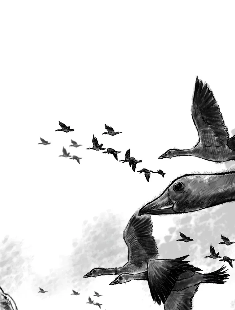 Read The Undefeatable Swordsman Manga Online