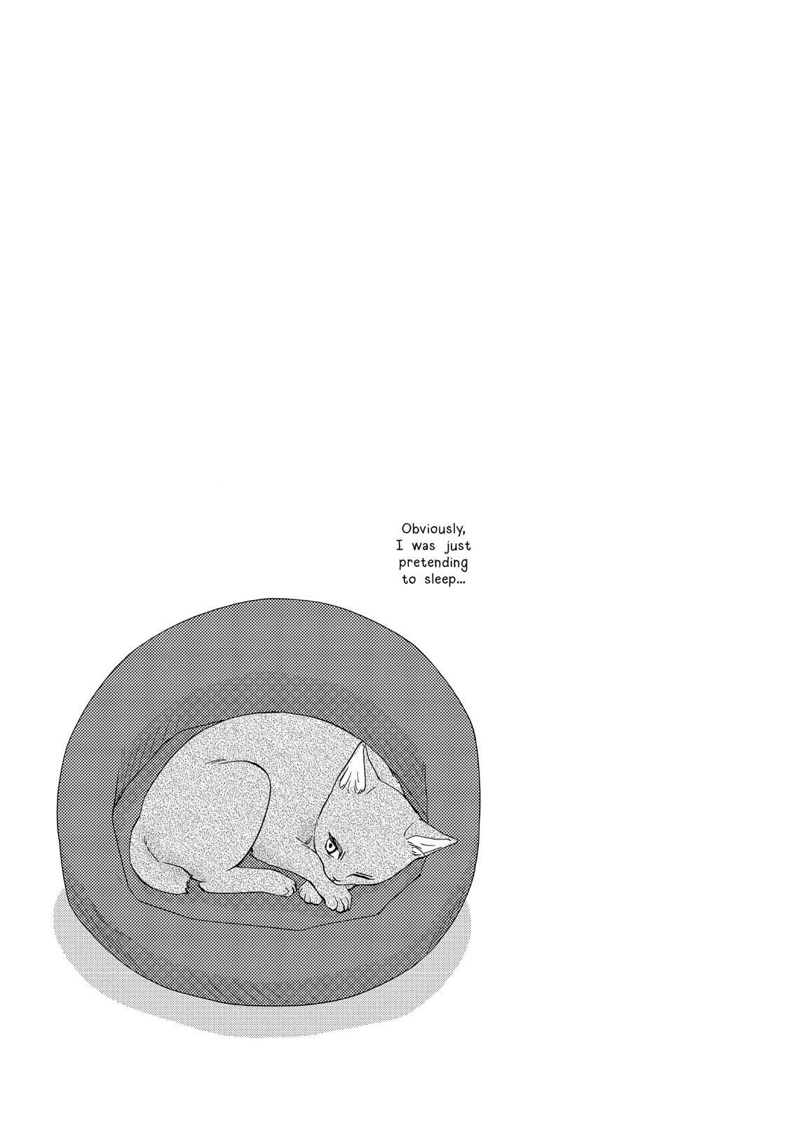 Read The Walls Between Us Manga Online