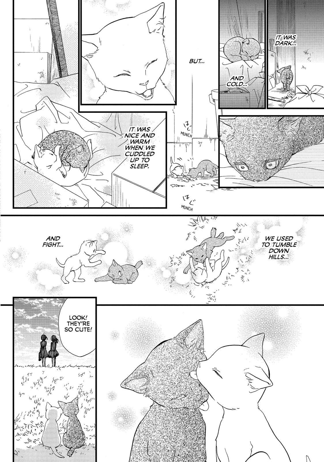 Read The Walls Between Us Manga Online