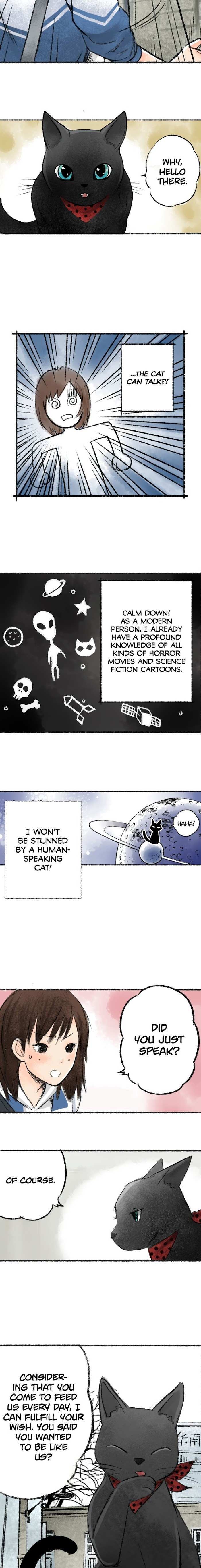 Read Three Cat Cookies Manga Online