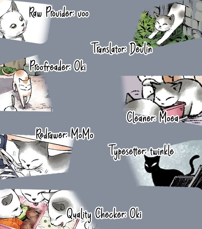 Read Three Cat Cookies Manga Online