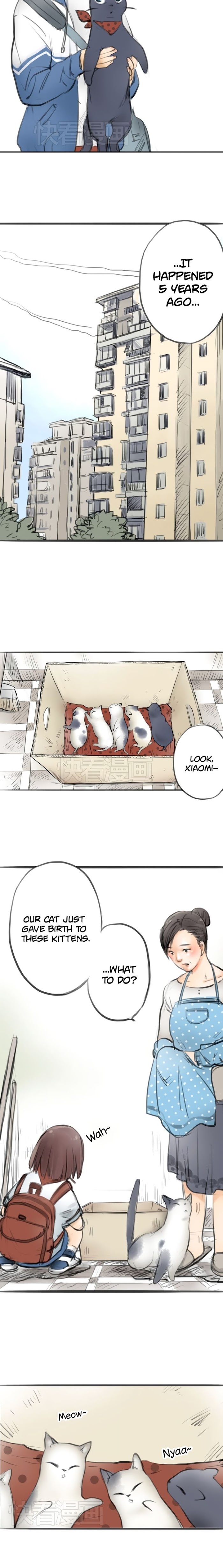 Read Three Cat Cookies Manga Online