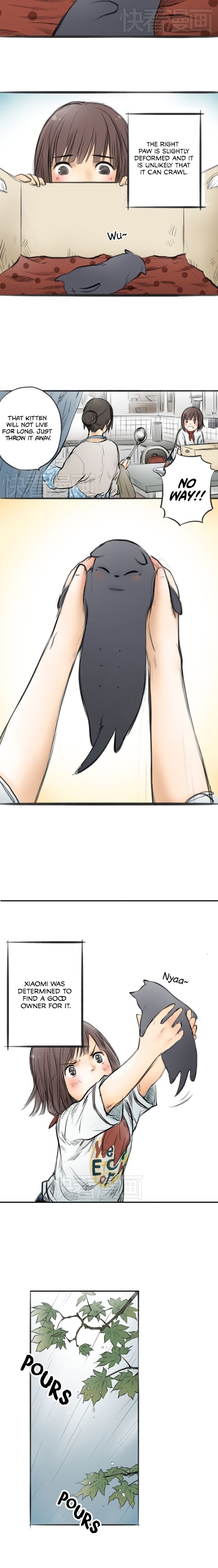 Read Three Cat Cookies Manga Online