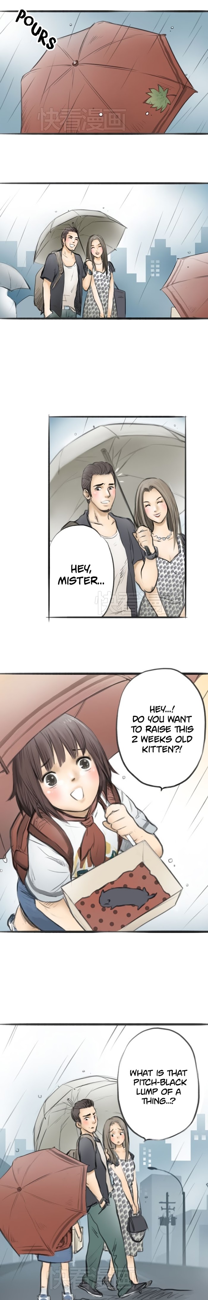 Read Three Cat Cookies Manga Online