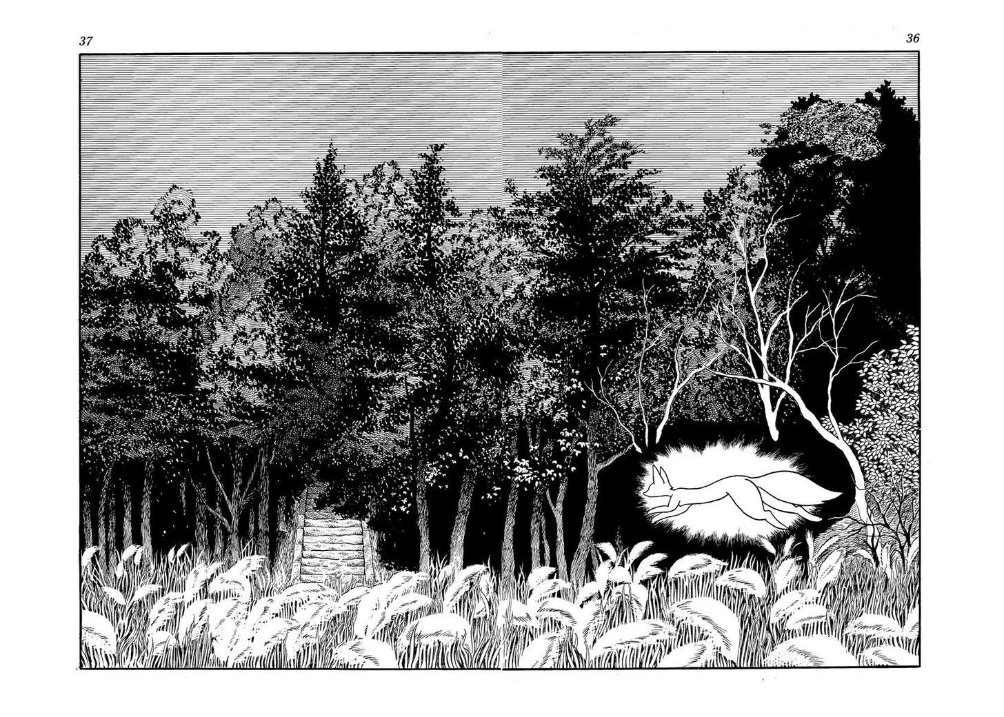 Read Tiger Books Manga Online