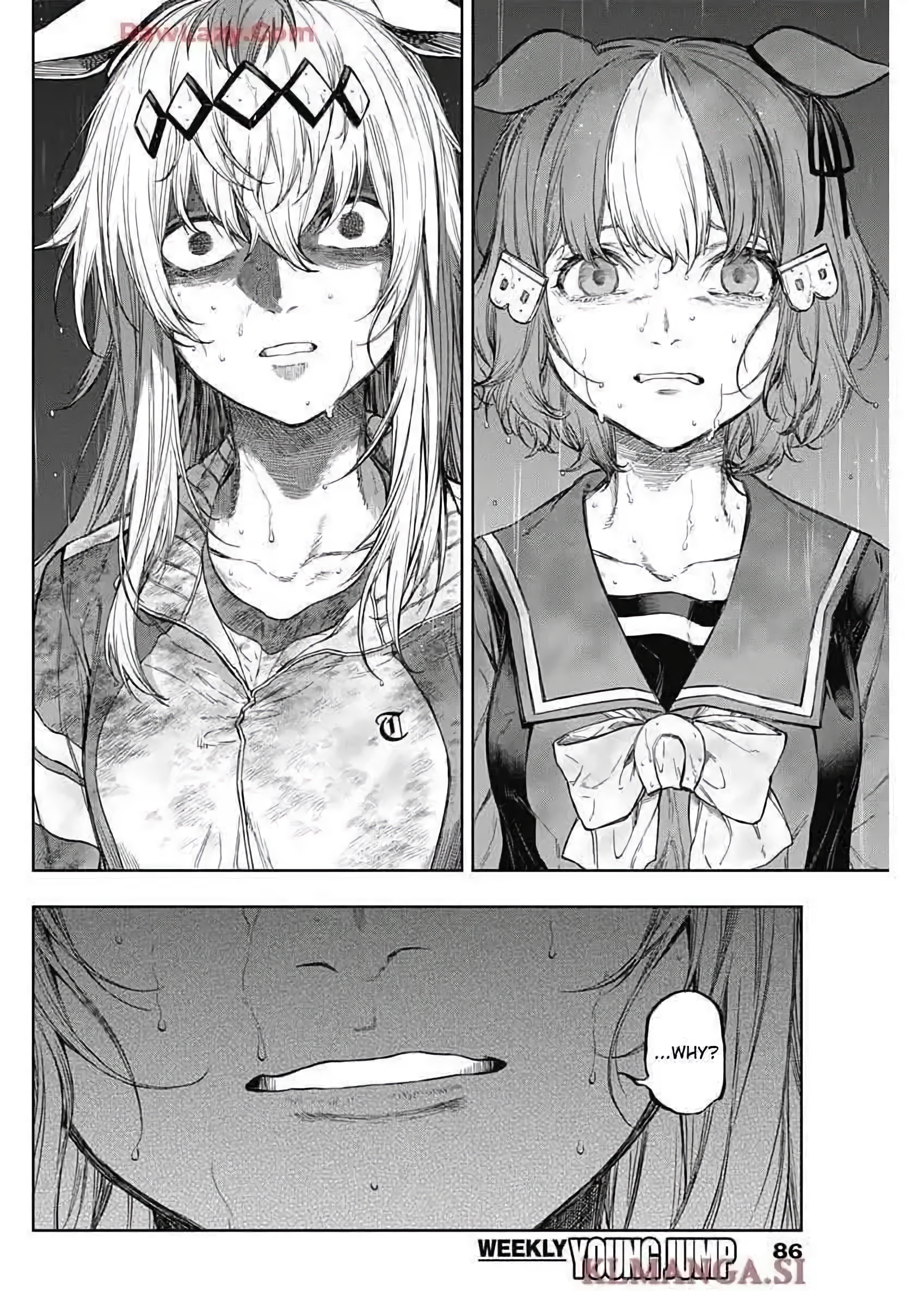 Read Uma Musume Cinderella Gray Manga Online