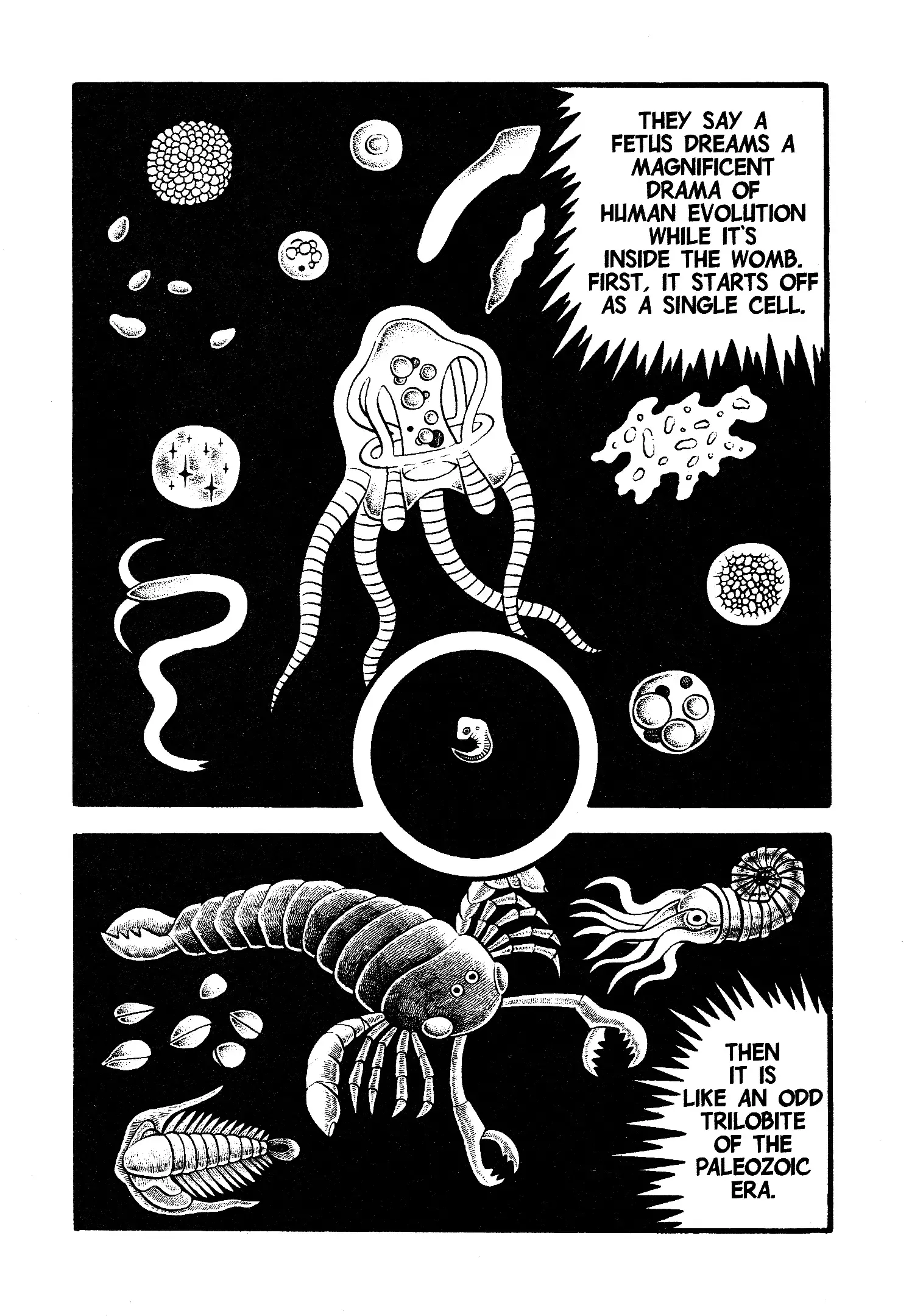 Read Unusual Fetus- My Baby Manga Online