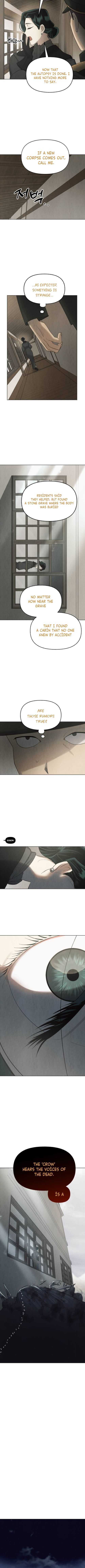 Read Unusual Night Manga Online