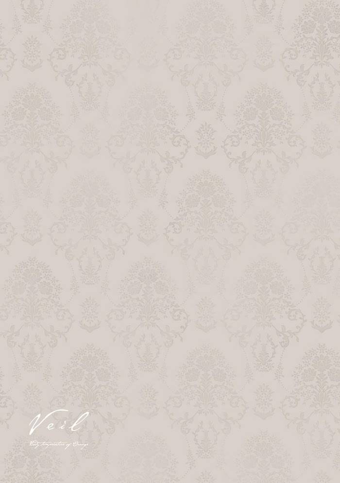 Read Veil Manga Online