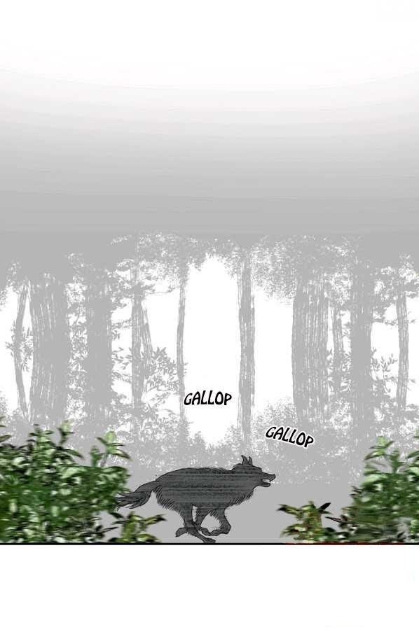 Read Wanders of the Ruined Manga Online