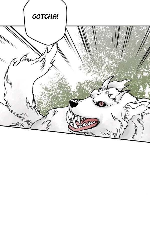 Read Wanders of the Ruined Manga Online