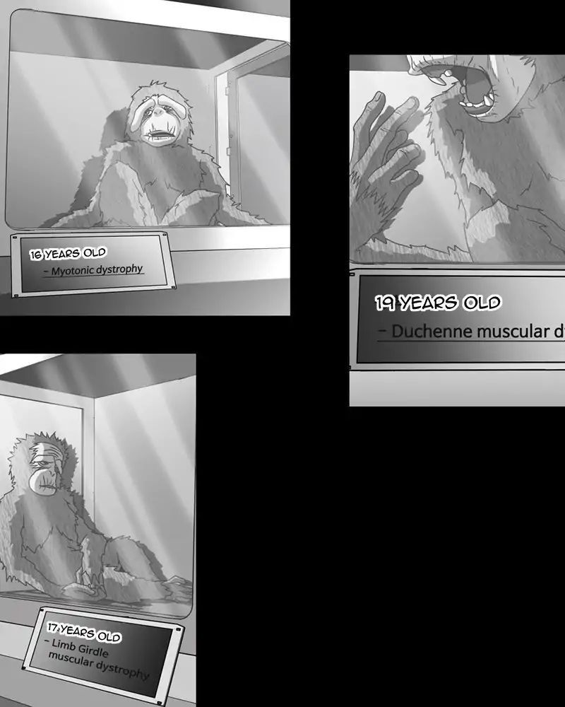 Read We On - Be the Shield Manga Online