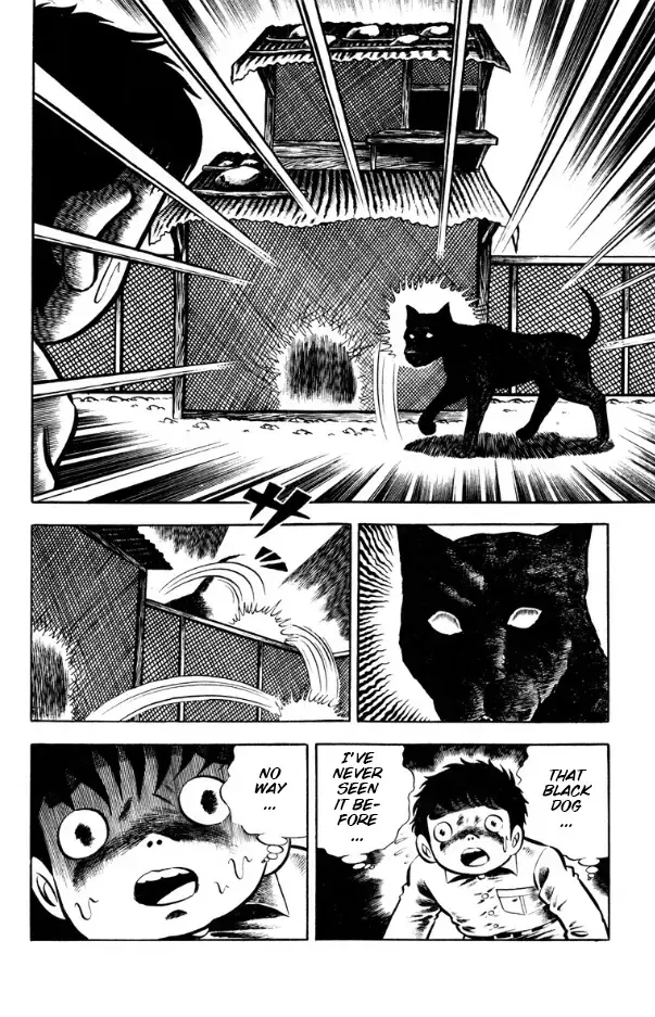 Read Witch Dara Manga Online