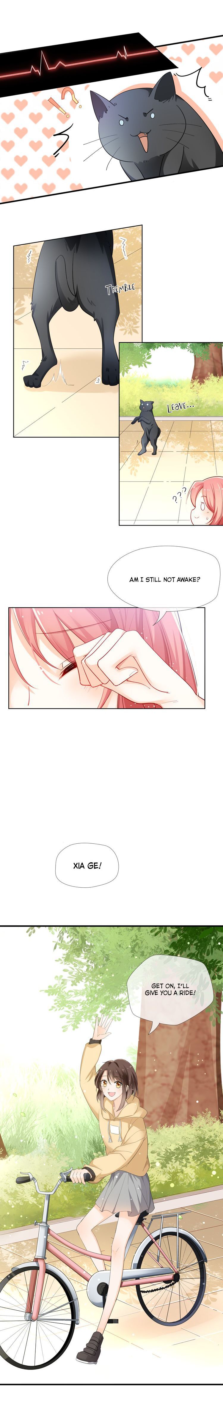 Read Wolf and Commander Manga Online