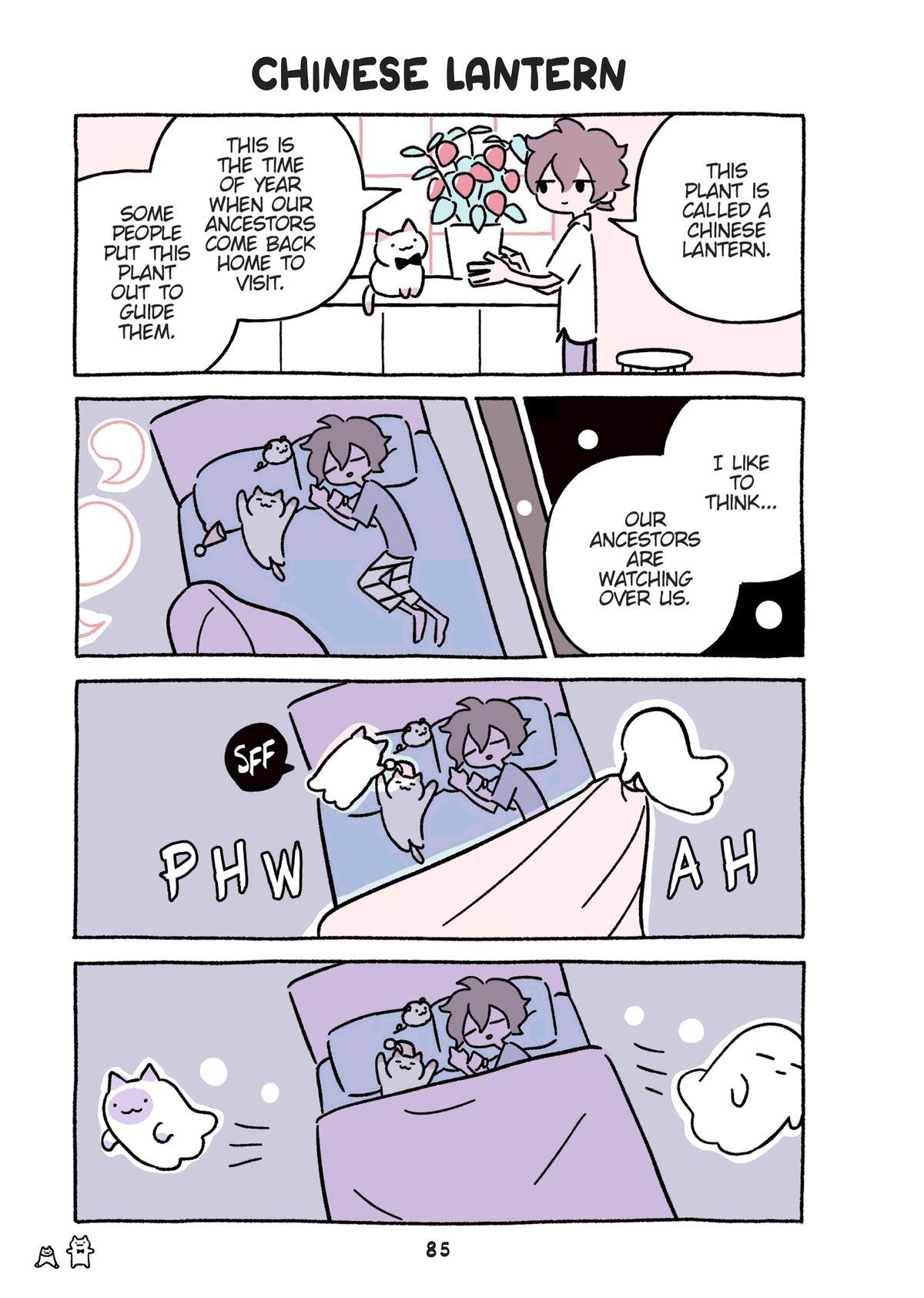 Read Wonder Cat Kyuu-chan Manga Online