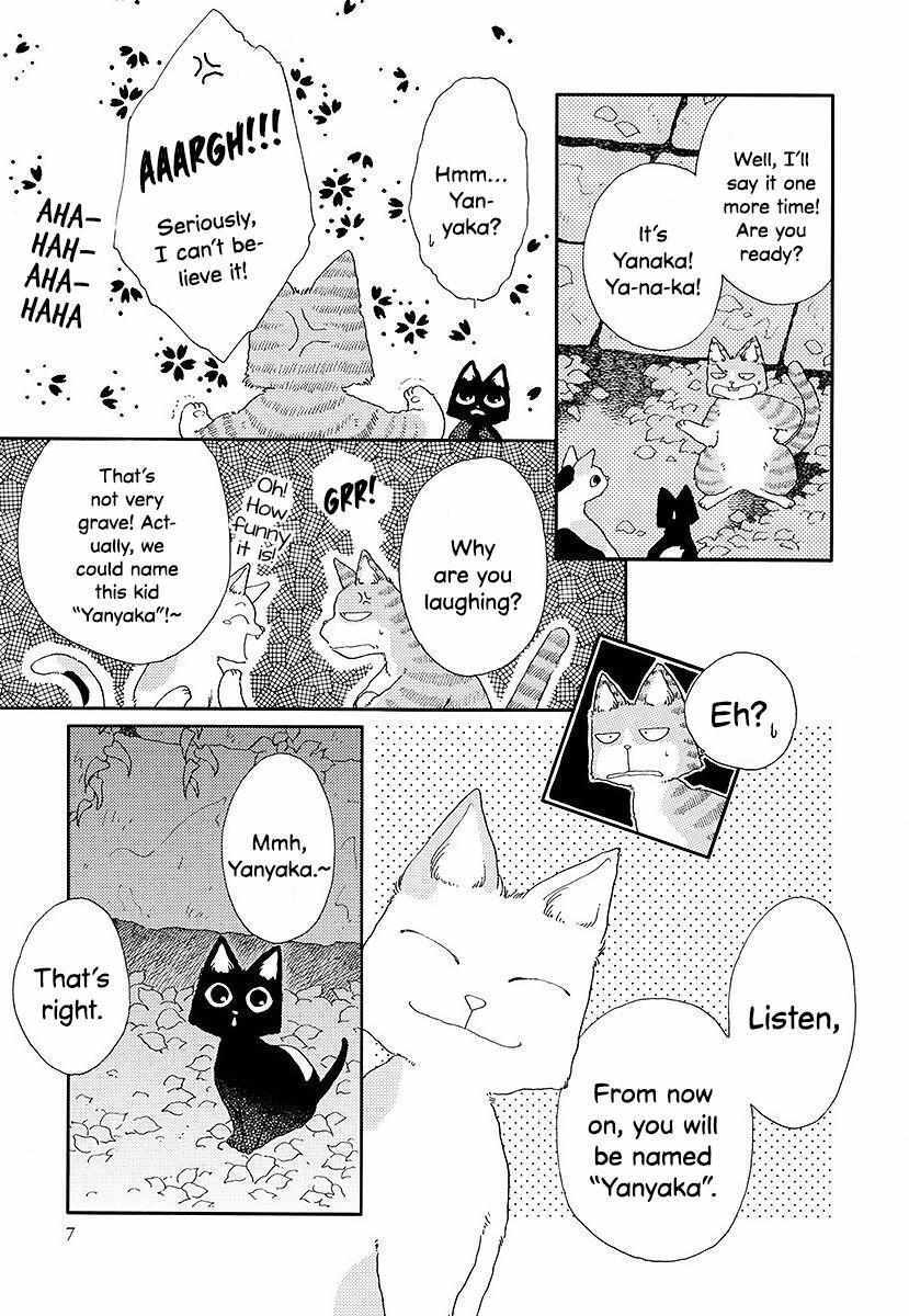 Read Yanyaka Sanpo Manga Online