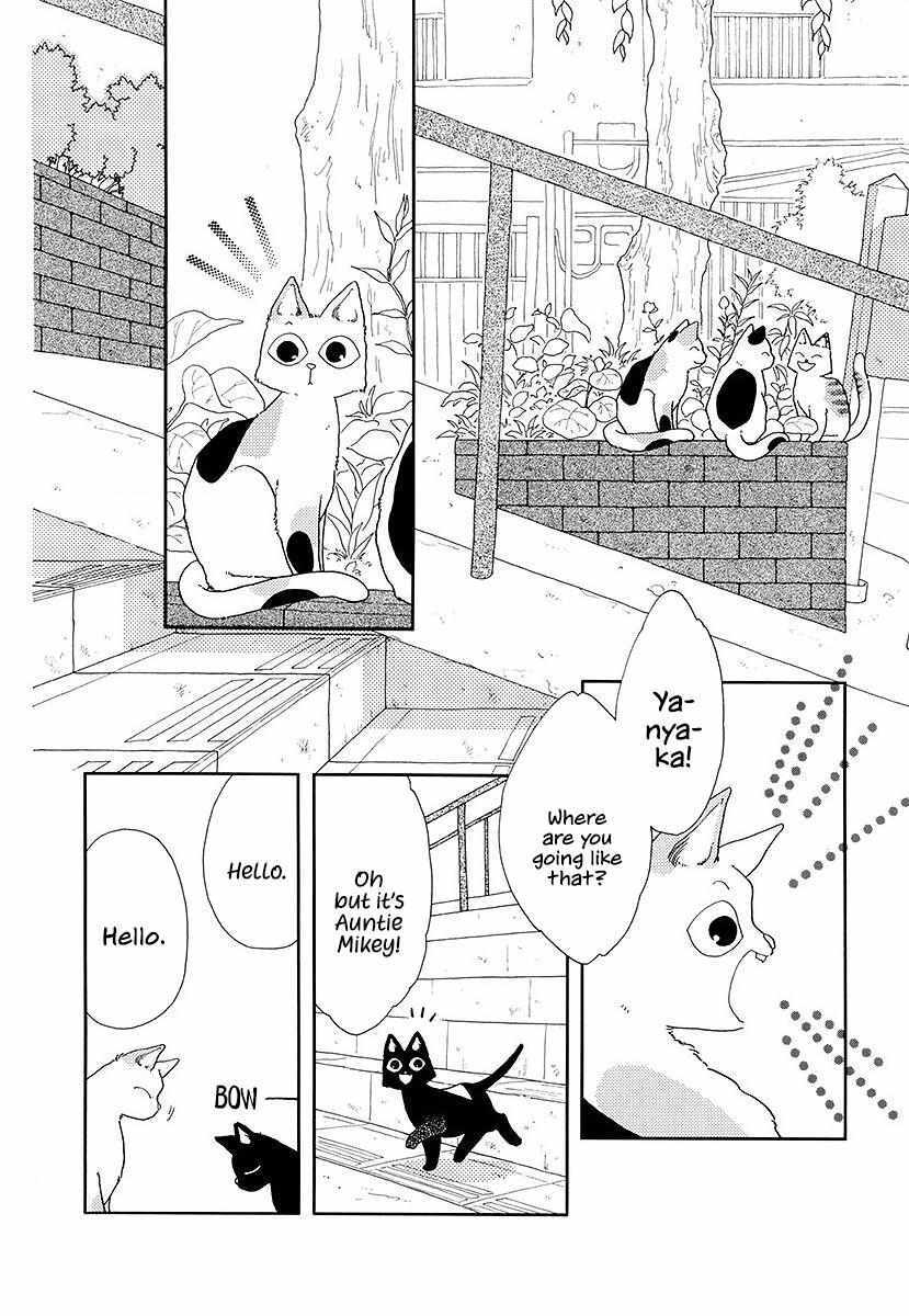 Read Yanyaka Sanpo Manga Online