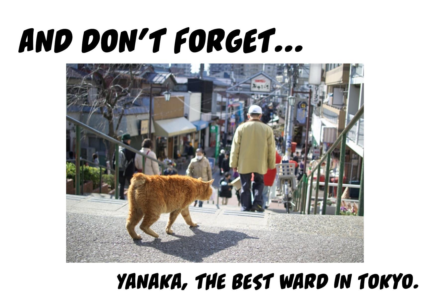 Read Yanyaka Sanpo Manga Online