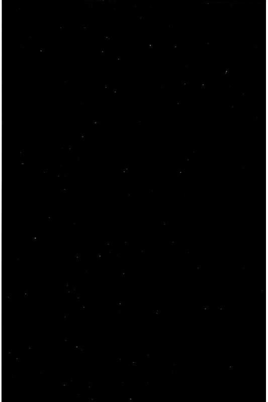 Read Yokokuhan - The Copycat Manga Online