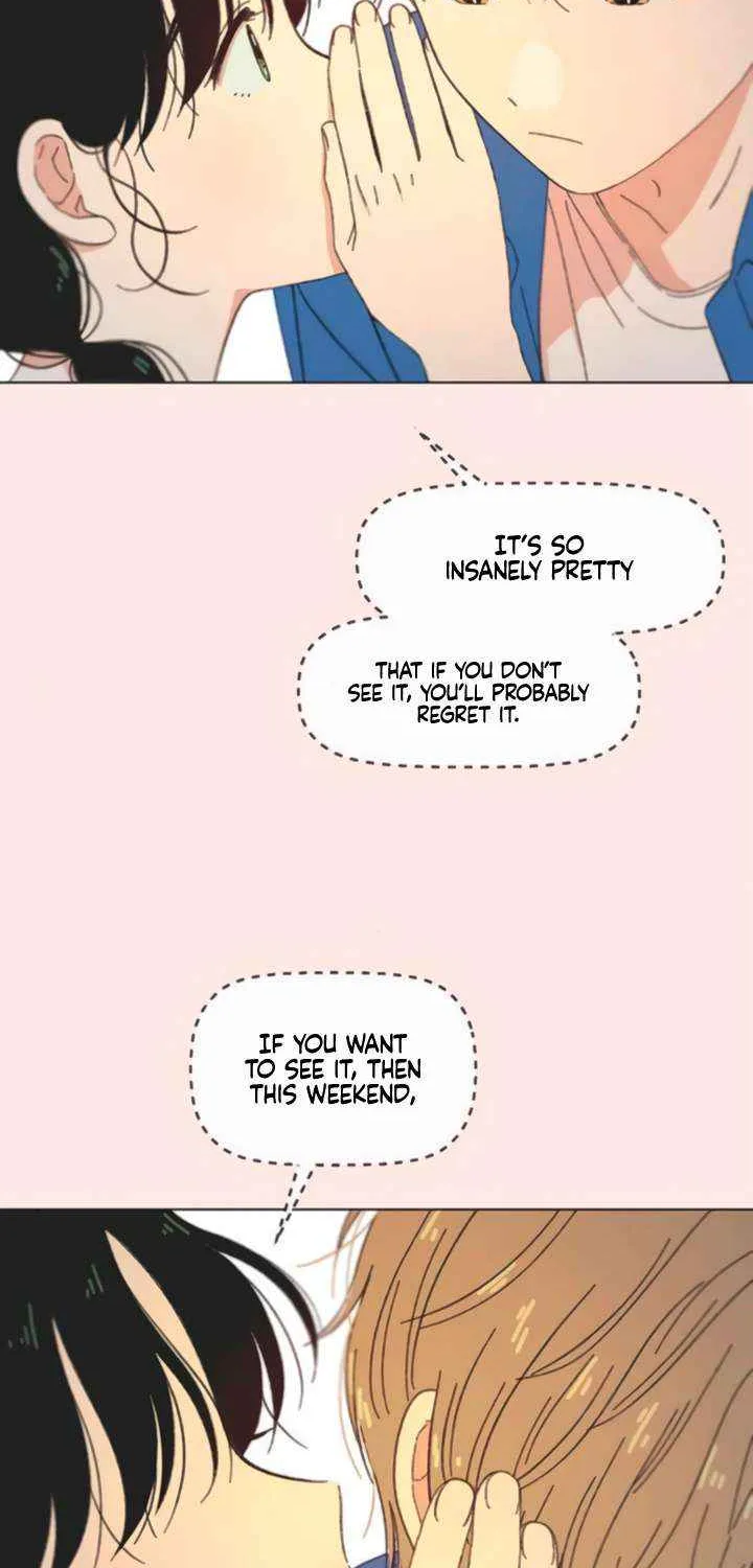 Read Youth Lovesome Manga Online