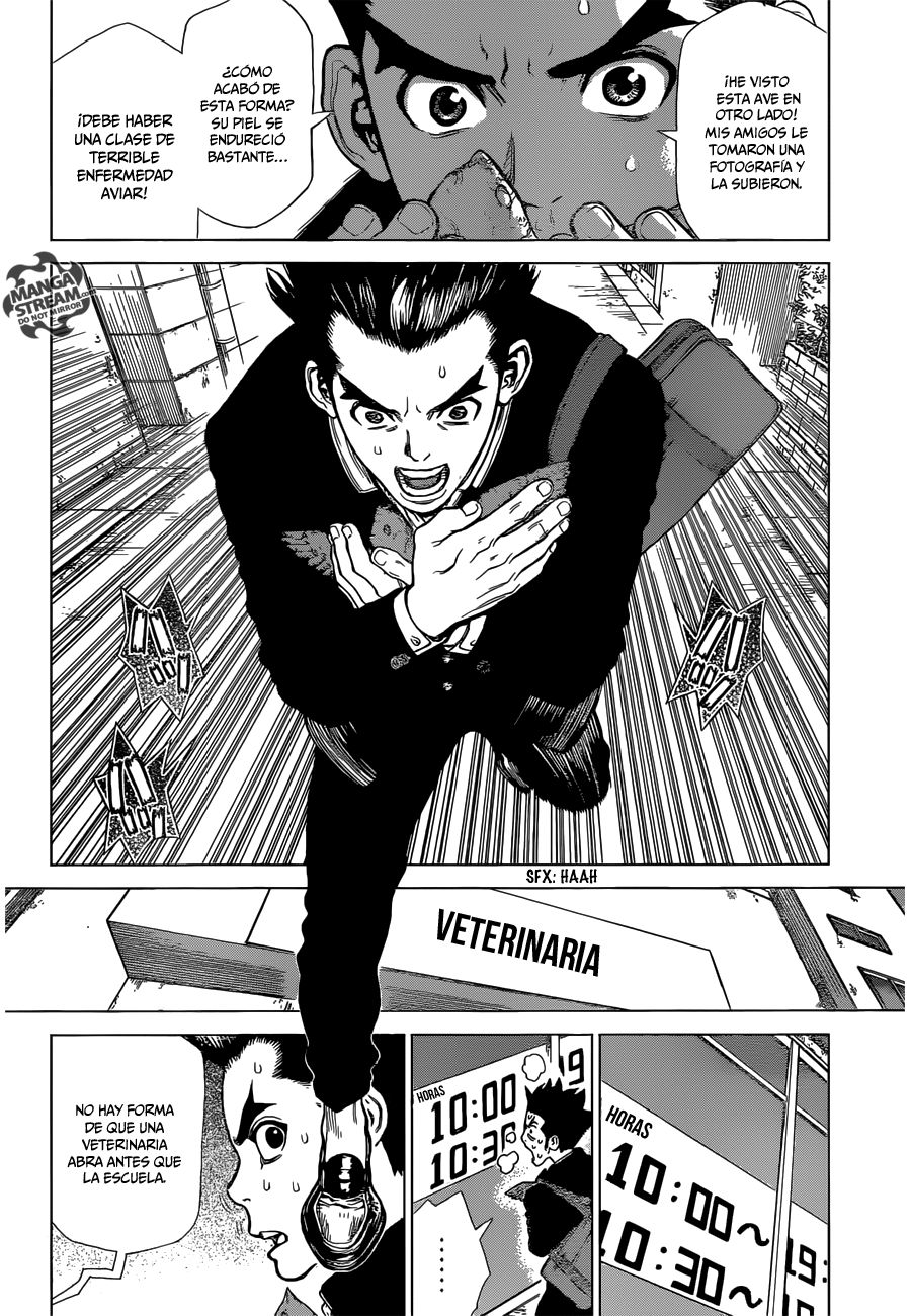 Read Dr. Stone ES Manga Online