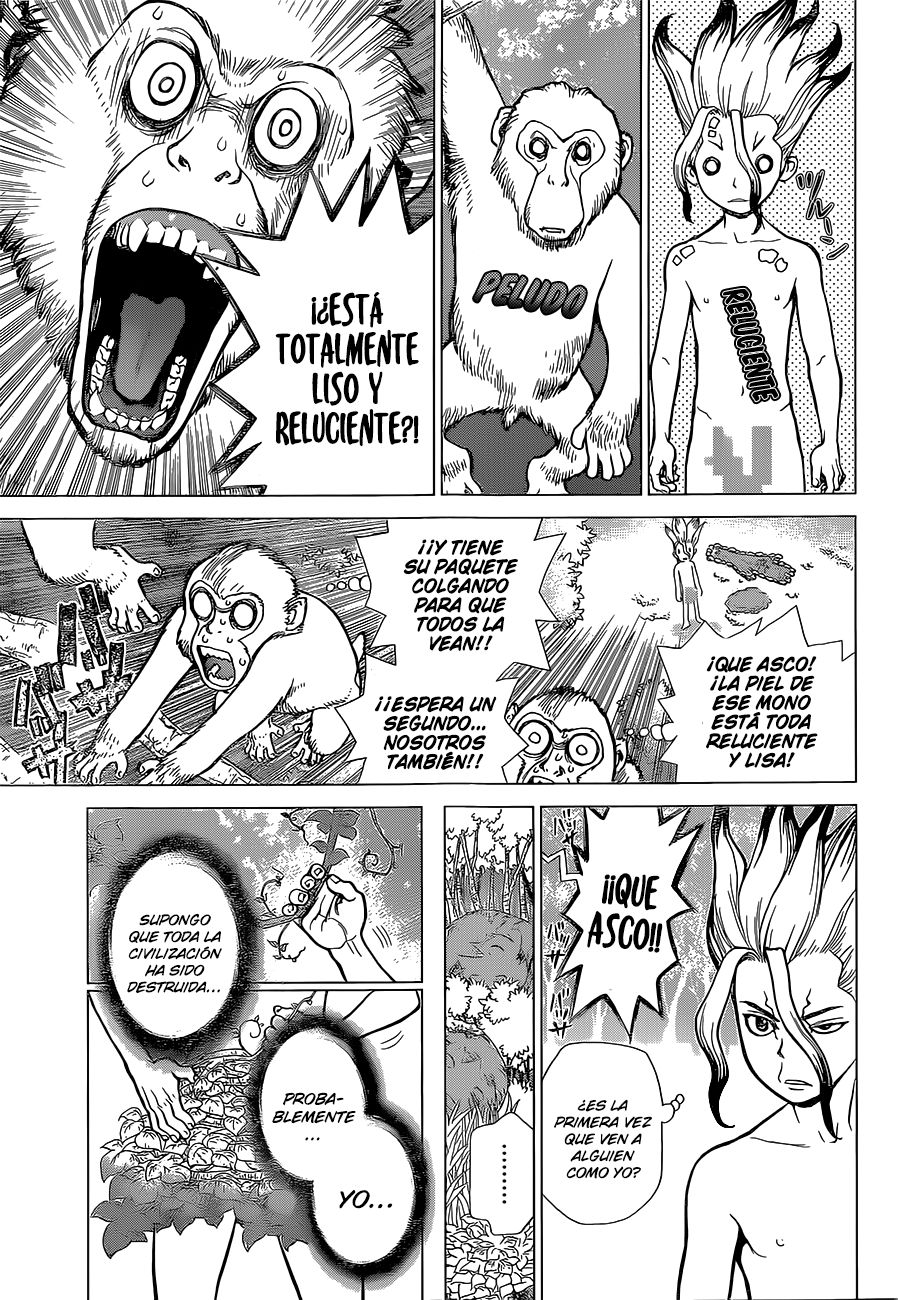 Read Dr. Stone ES Manga Online