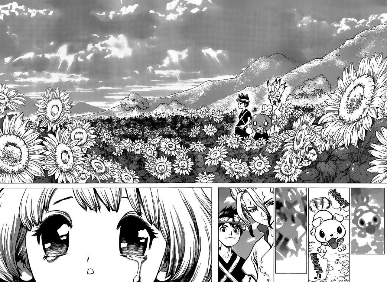 Read Dr. Stone ES Manga Online