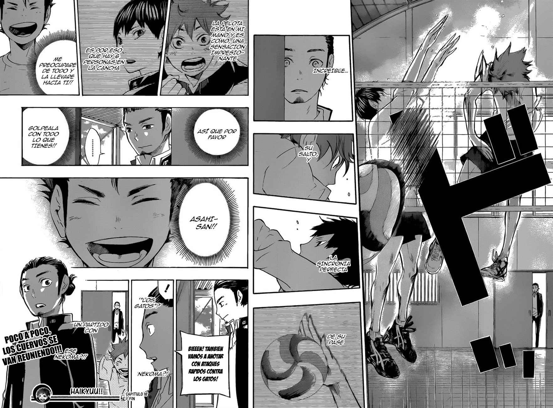 Read Haikyuu ES Manga Online