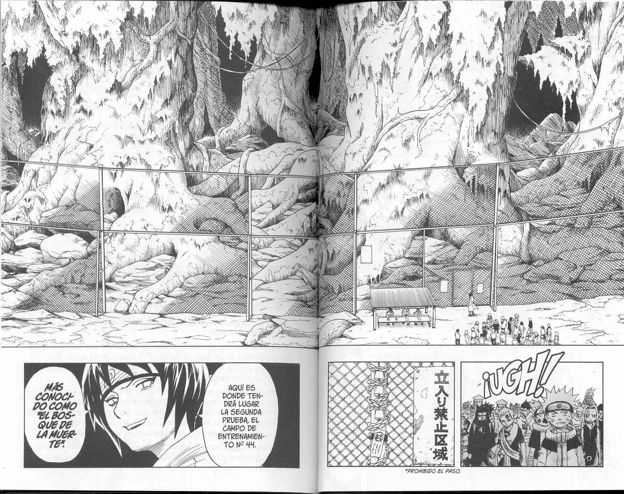 Read Naruto ES Manga Online