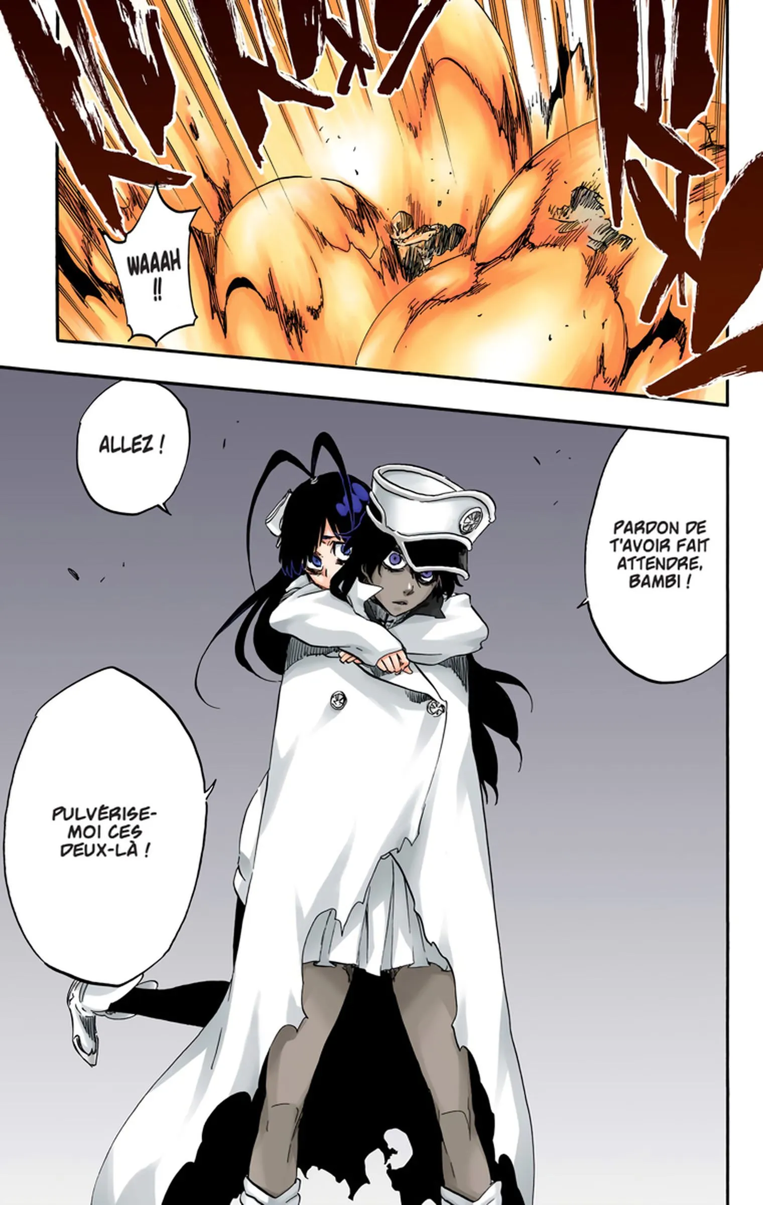 Read Bleach FR Manga Online