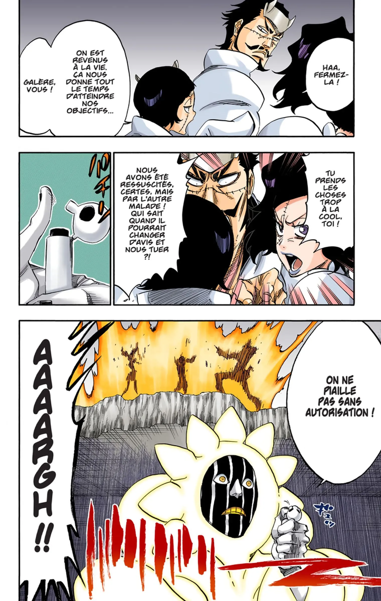 Read Bleach FR Manga Online