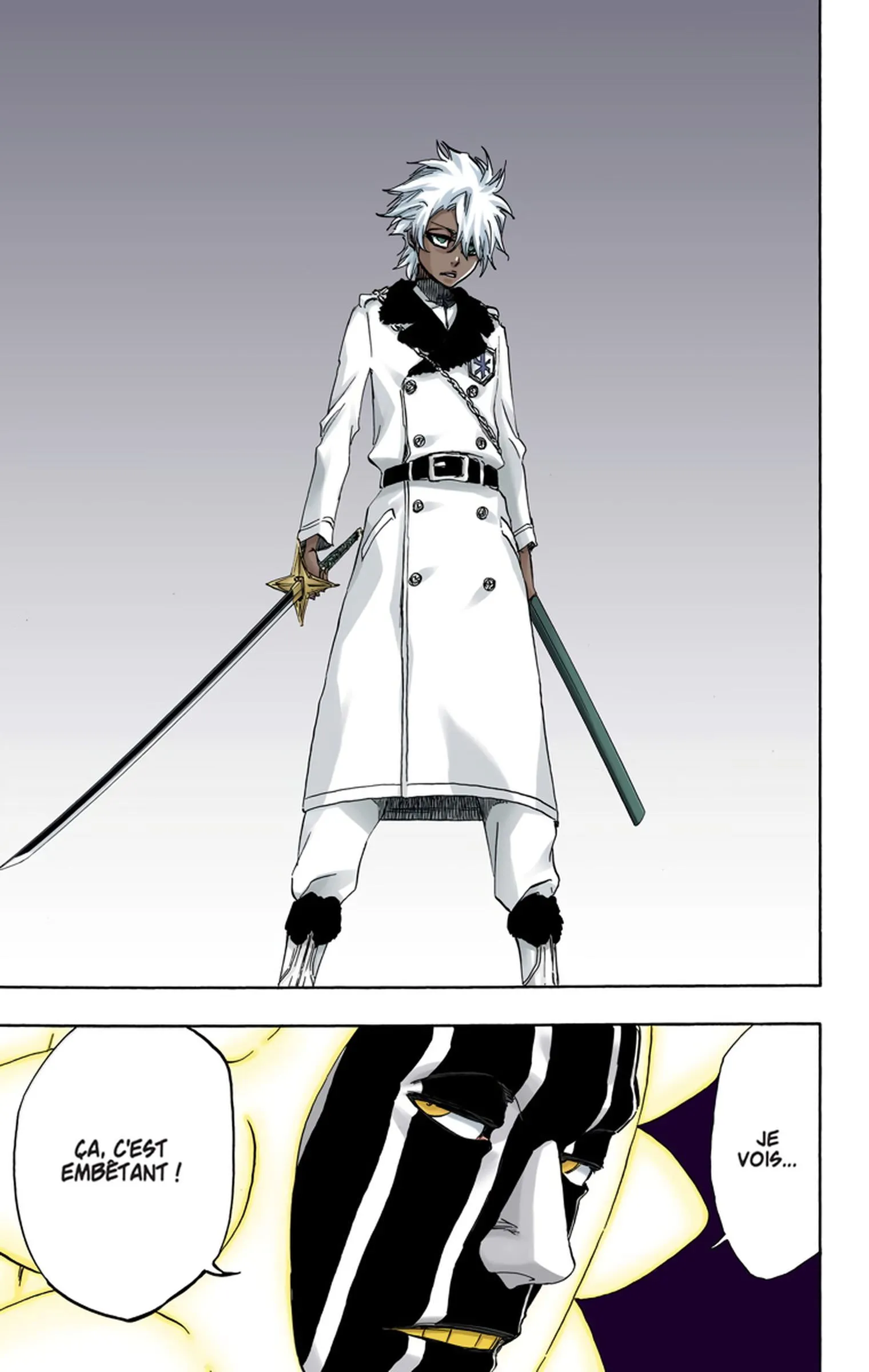 Read Bleach FR Manga Online