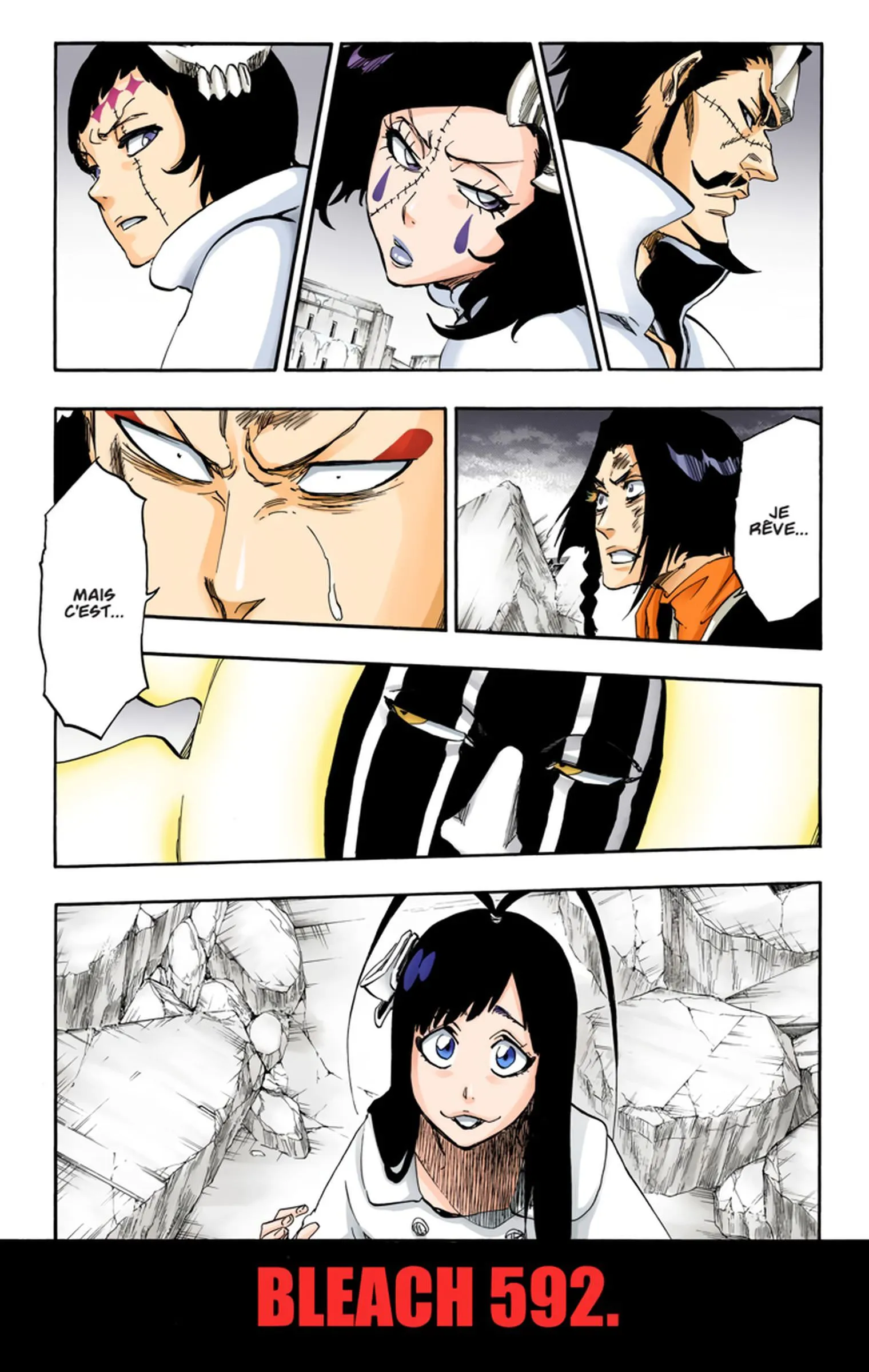 Read Bleach FR Manga Online