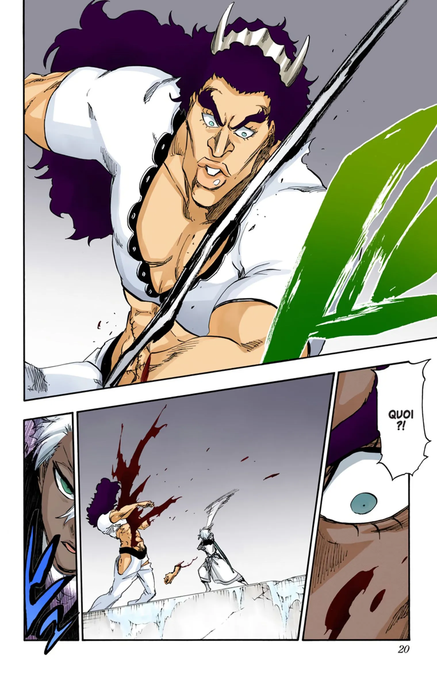 Read Bleach FR Manga Online