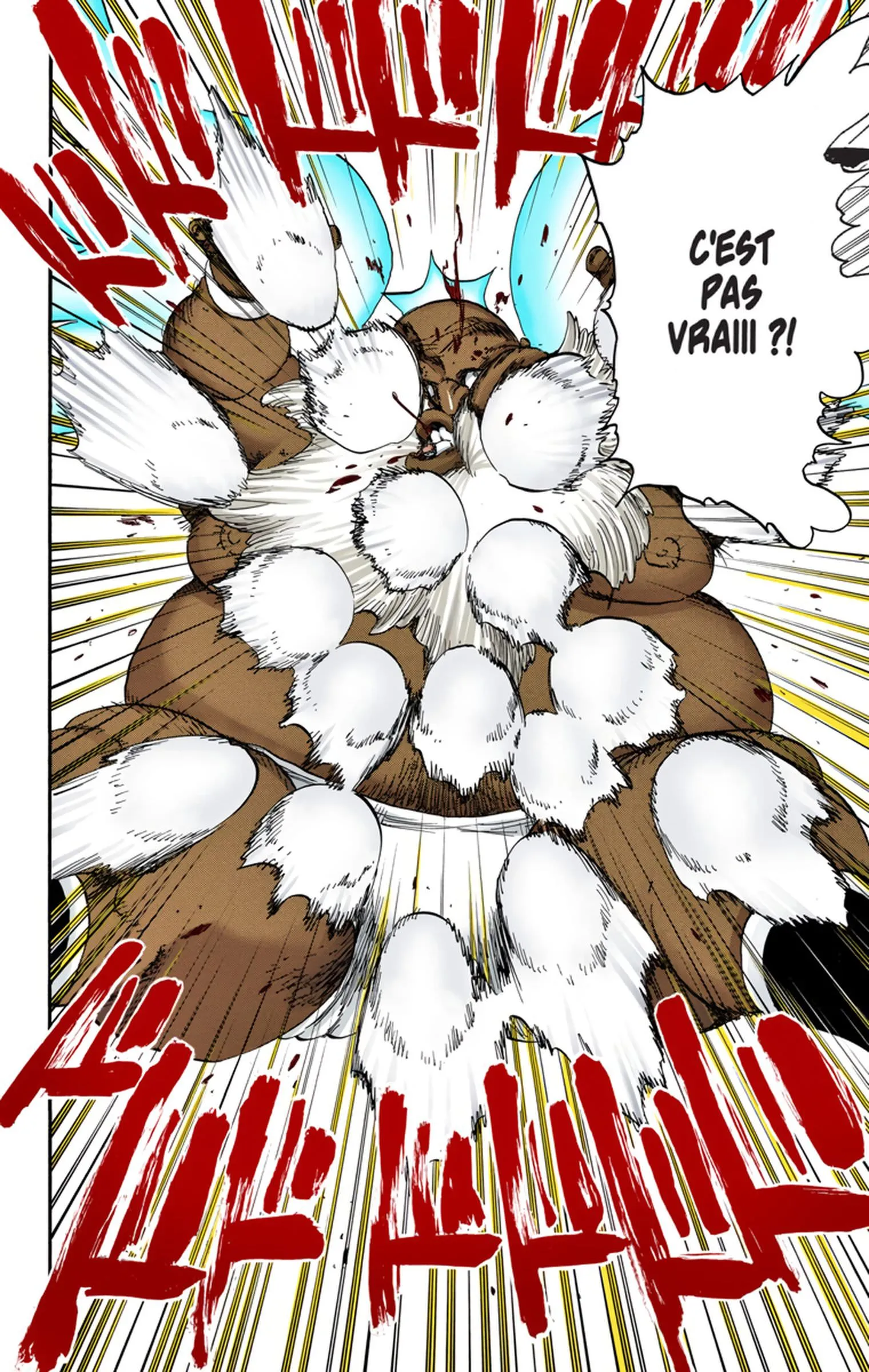 Read Bleach FR Manga Online