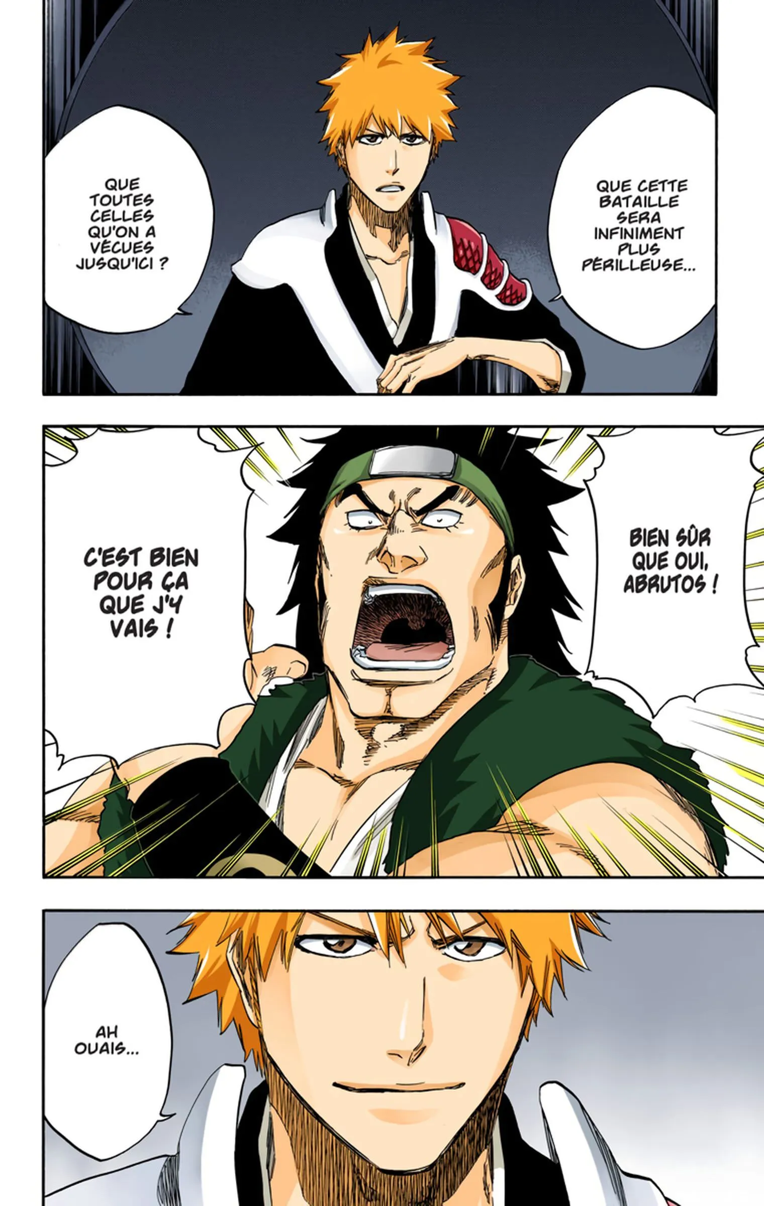 Read Bleach FR Manga Online