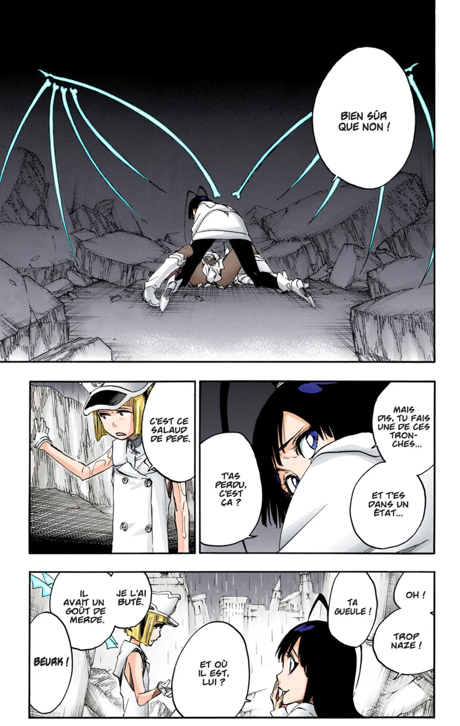 Read Bleach FR Manga Online