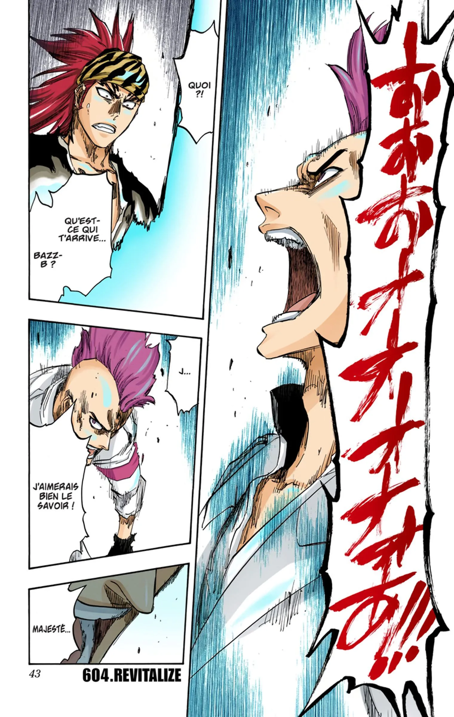 Read Bleach FR Manga Online