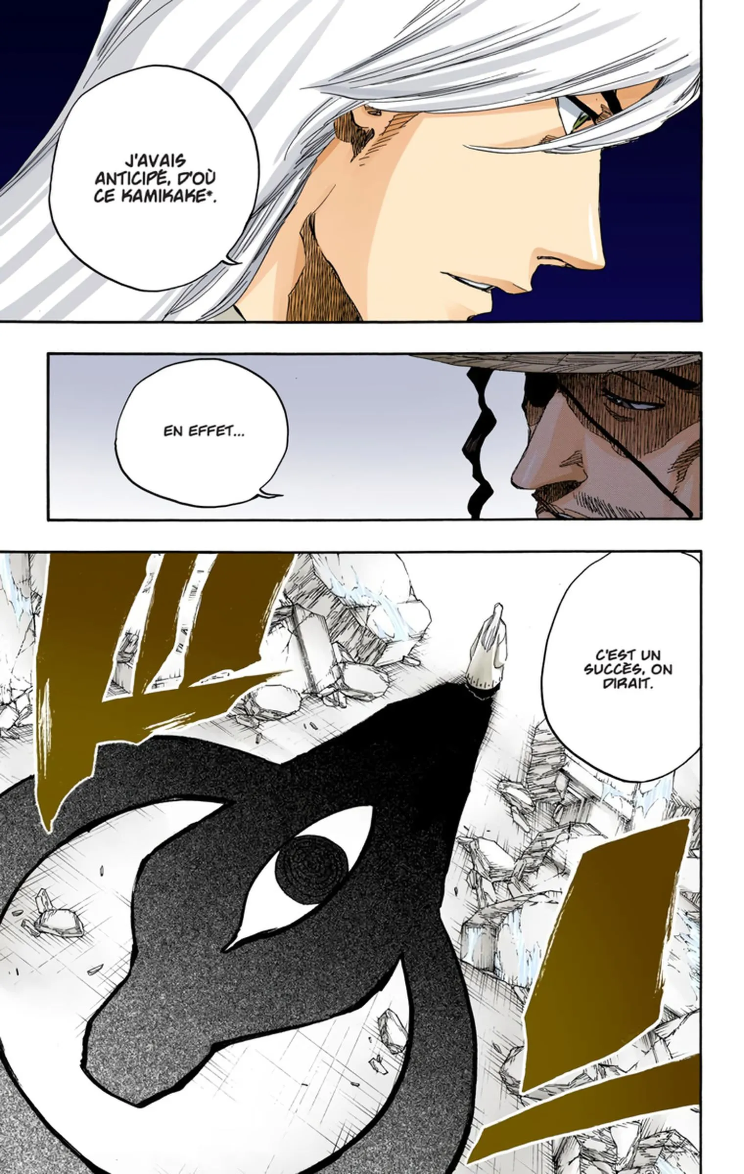 Read Bleach FR Manga Online