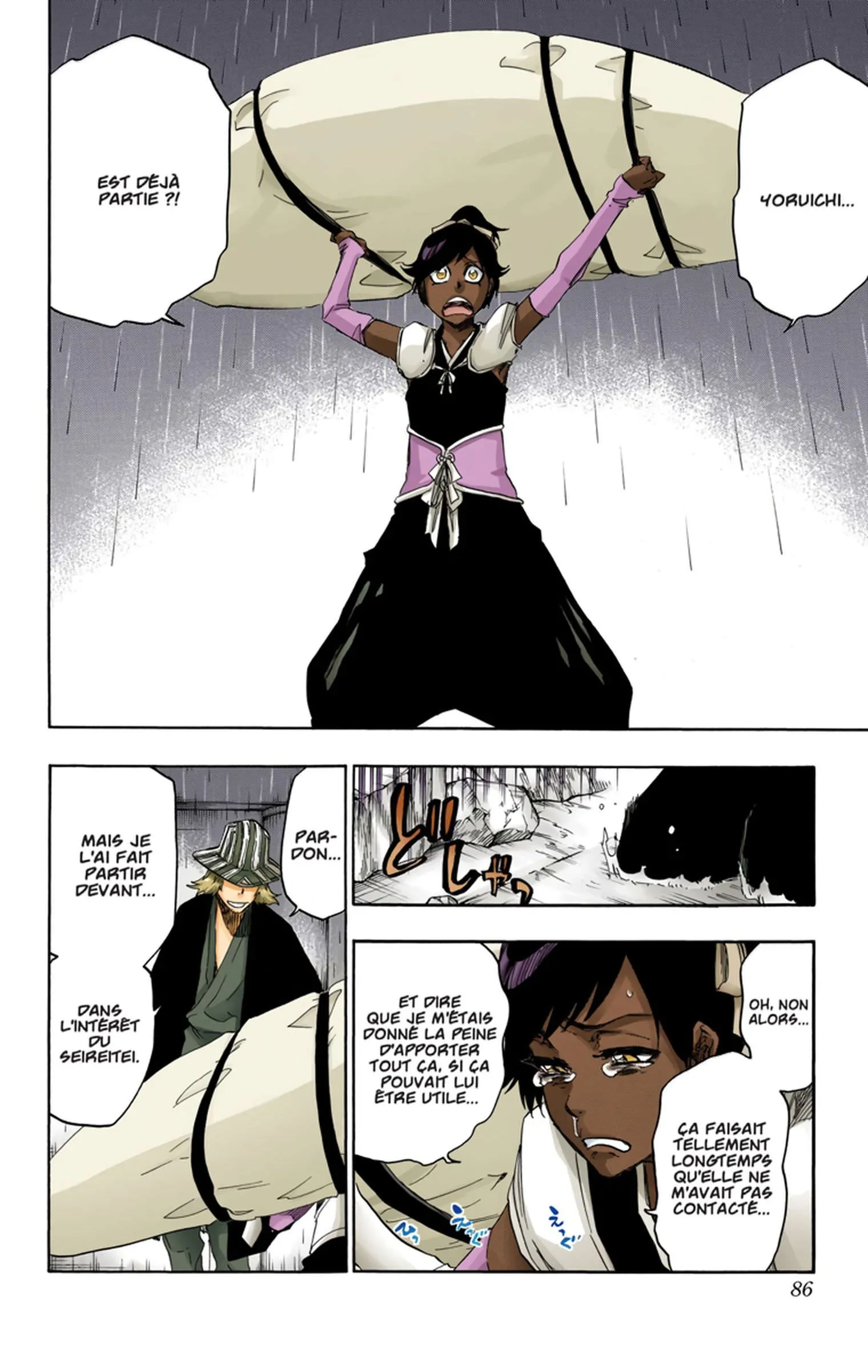 Read Bleach FR Manga Online