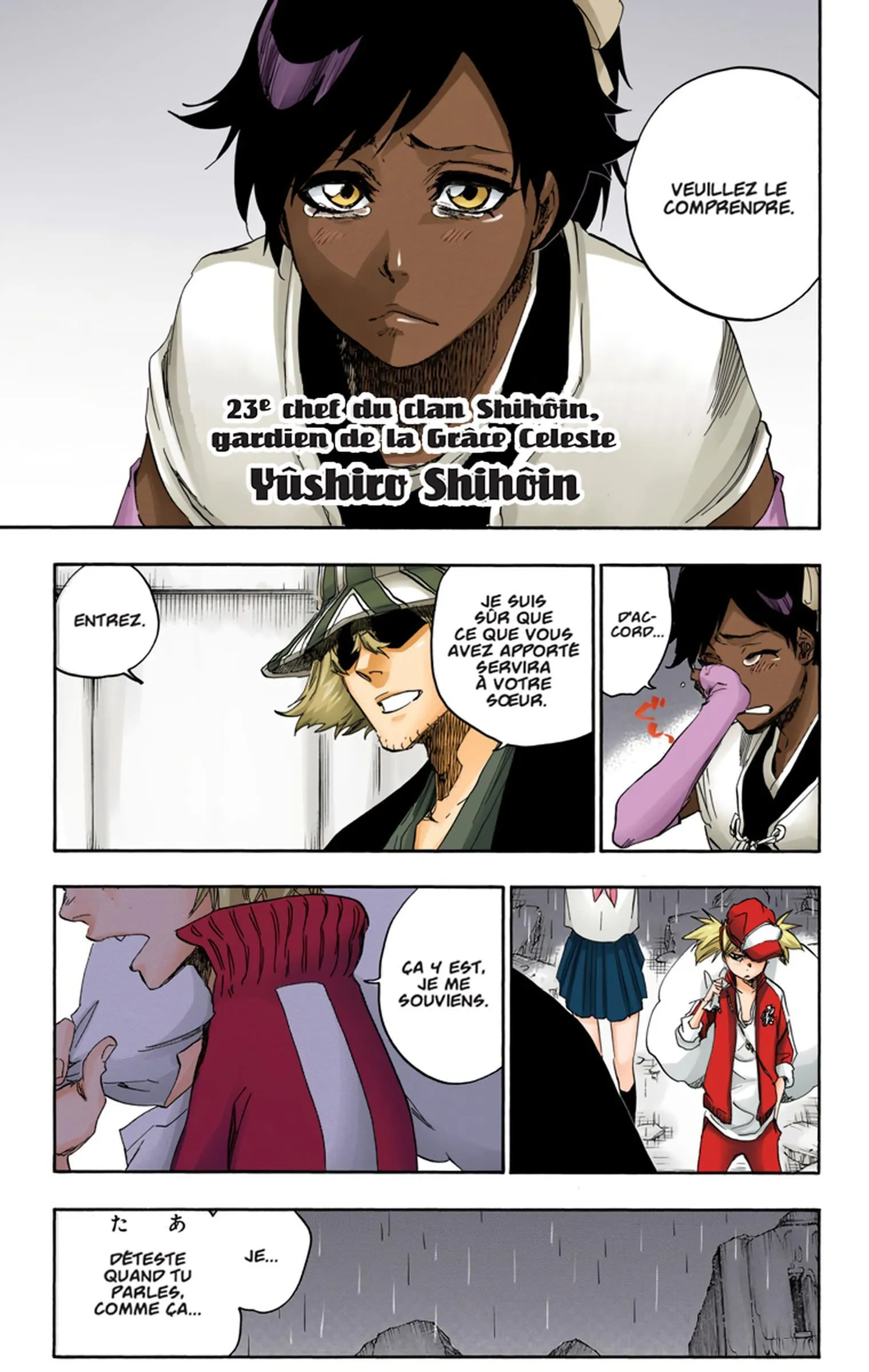 Read Bleach FR Manga Online
