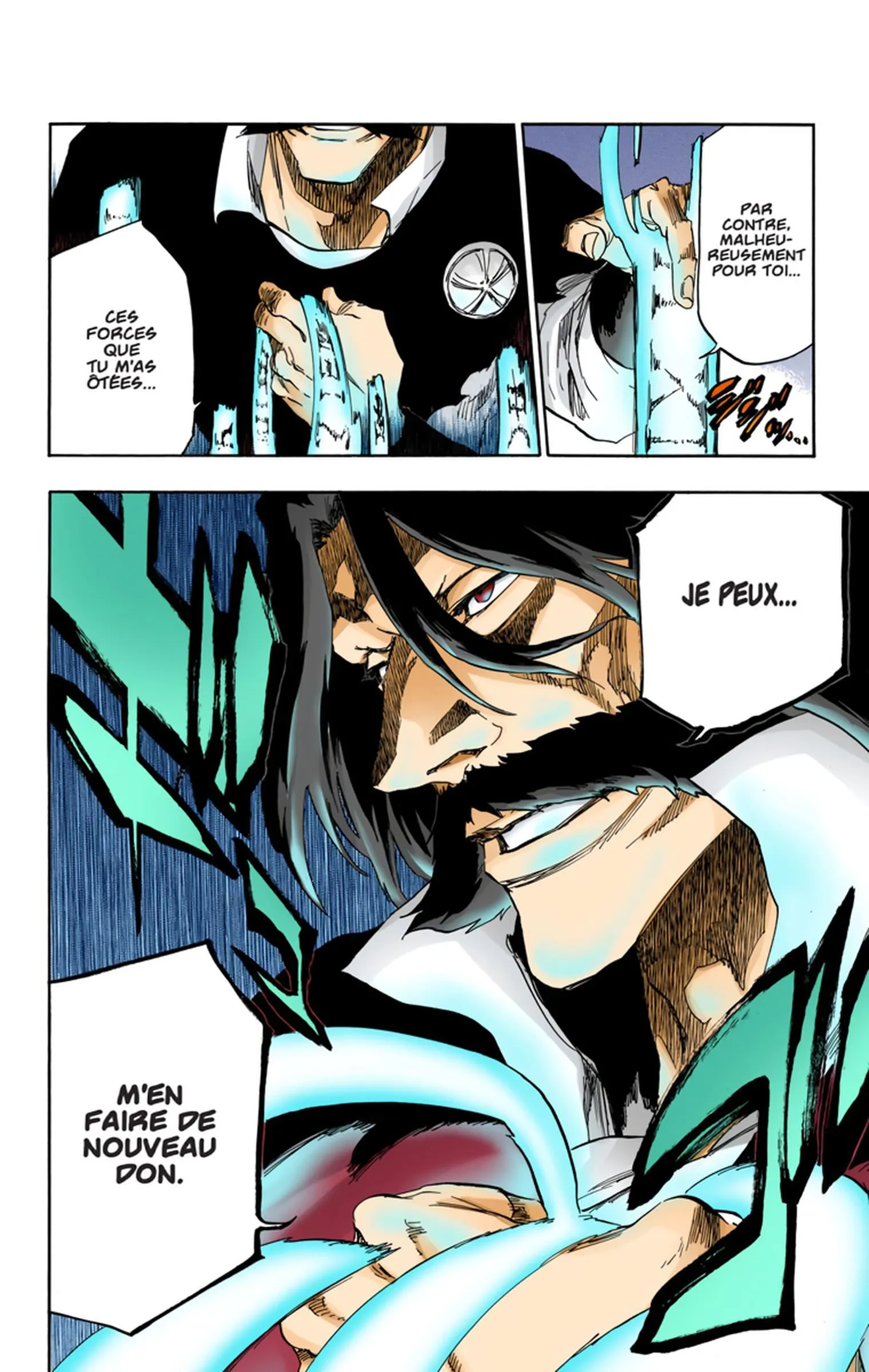 Read Bleach FR Manga Online