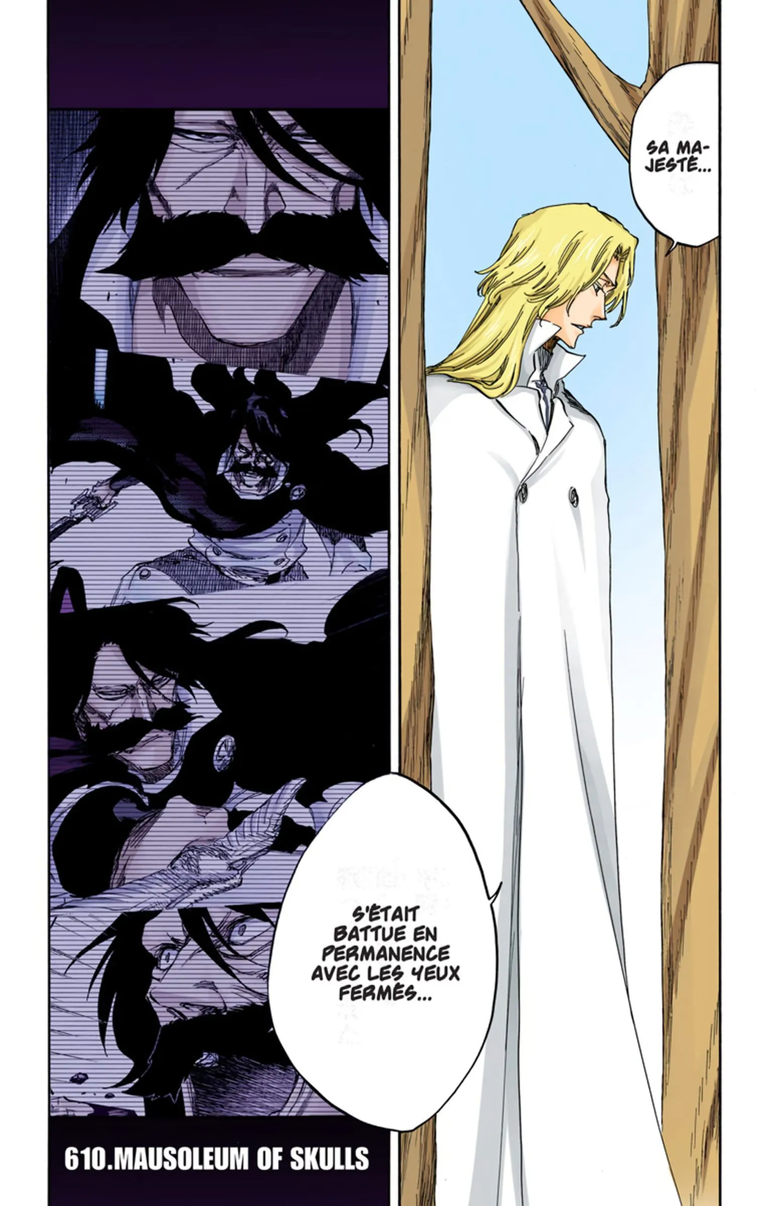 Read Bleach FR Manga Online