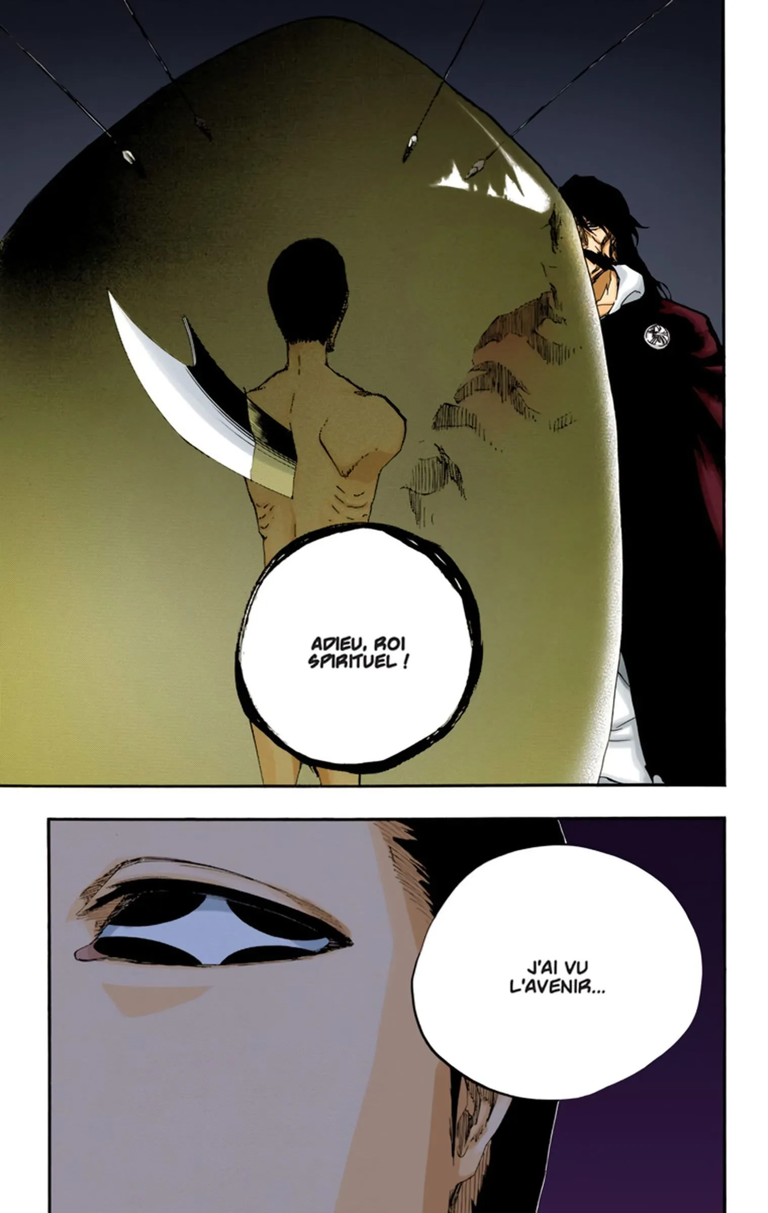 Read Bleach FR Manga Online